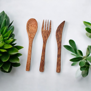 Coconut Cutlery